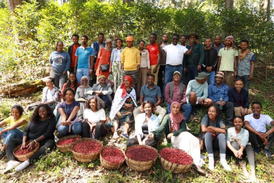 How We Source Coffee as a Coffee Roaster