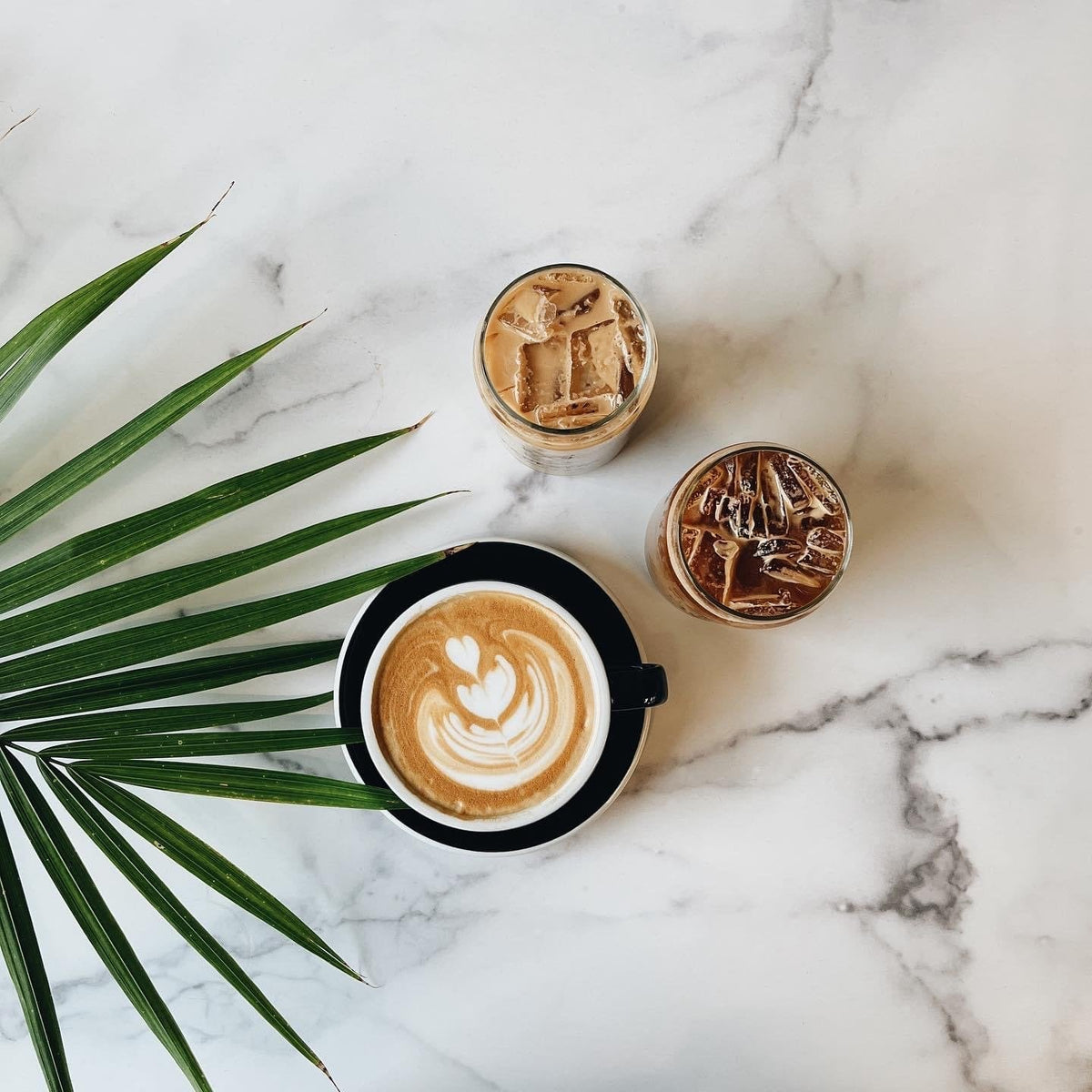 Lattes on a marble counter at Tapestry Coffee, a Minnesota wholesale coffee roaster